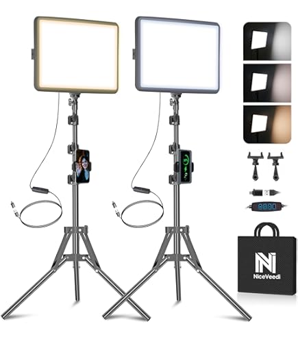 Amazon.com : ProMaster Chroma CL68RGB 2-Light Transport Kit